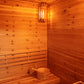 Outdoor 4-Person Deluxe Steam Sauna